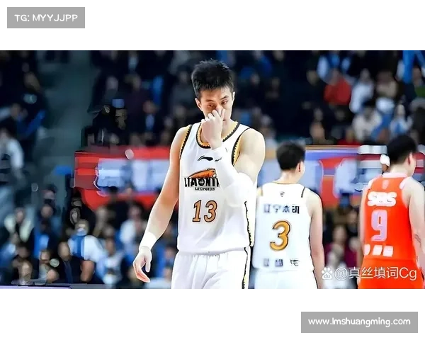 辽蓝cba赛事(辽宁男篮CBA赛事全程纪实辉煌时刻与胜利征程)