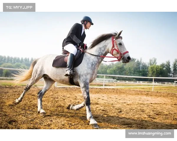 首届国际马球邀请赛全球精英骑手齐聚一堂竞技技与友谊共享荣耀时刻